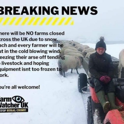 farmers and snow.jpg