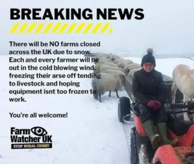 farmers and snow.jpg