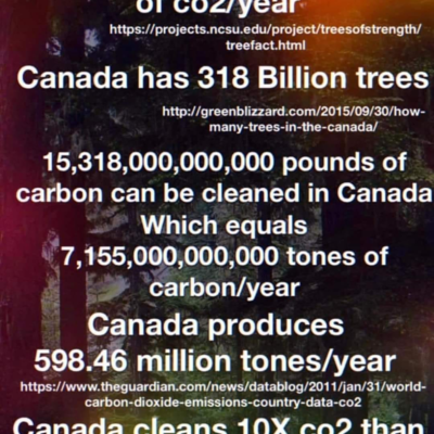 trees.jpg
