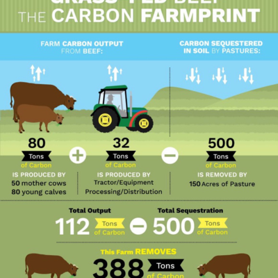 This Farm Removes 388 Ton CO2.jpg