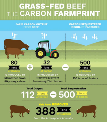This Farm Removes 388 Ton CO2.jpg